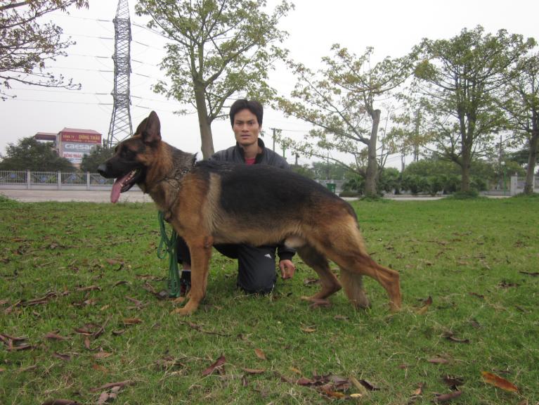 Name:  027.jpg
Views: 59
Size:  93.7 KB