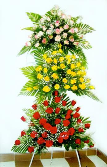 Name:  Hoa_khai_truong_2000_71.jpg
Views: 34
Size:  39.1 KB
