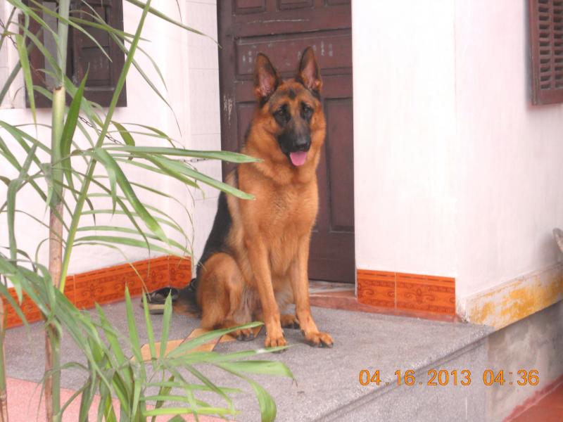 Name:  DSCN3578.jpg
Views: 0
Size:  60.9 KB