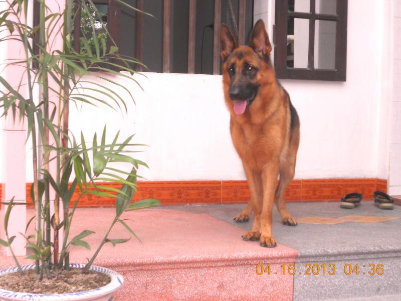 Name:  DSCN3577.jpg
Views: 0
Size:  66.1 KB