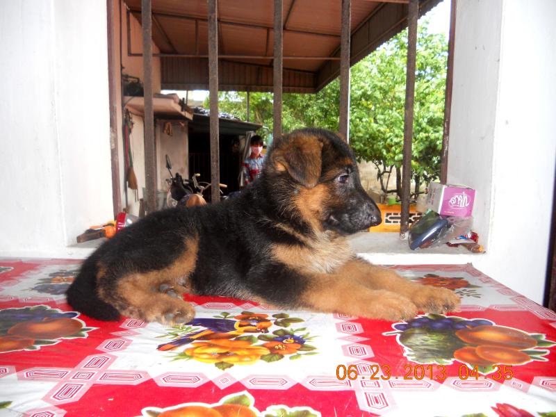 Name:  DSCN3889.jpg
Views: 0
Size:  79.9 KB