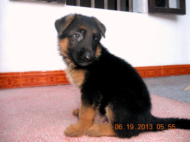Name:  DSCN3828.jpg
Views: 0
Size:  52.8 KB