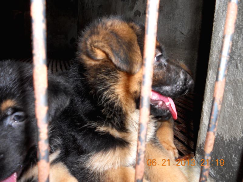 Name:  DSCN3852.jpg
Views: 0
Size:  67.3 KB