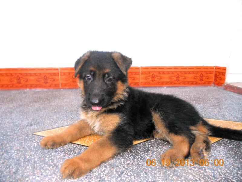 Name:  DSCN3831.jpg
Views: 0
Size:  65.5 KB