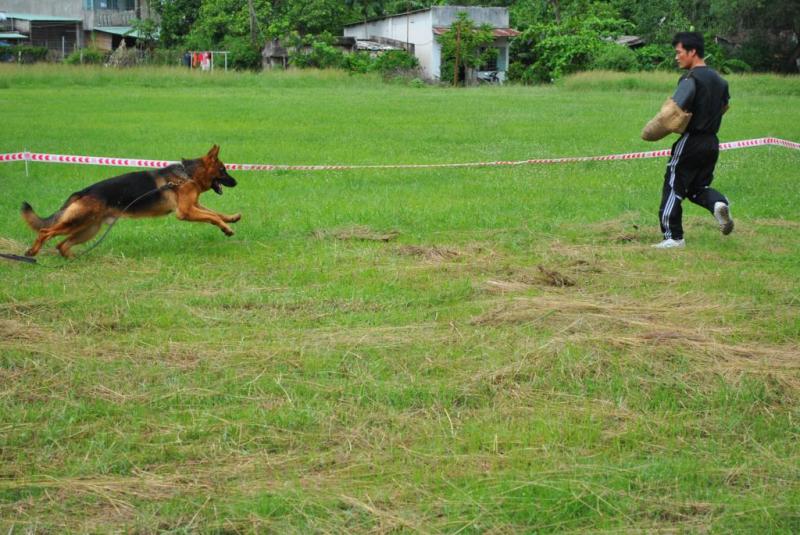 Name:  DSC_3527_zps65082d08.jpg
Views: 0
Size:  84.5 KB