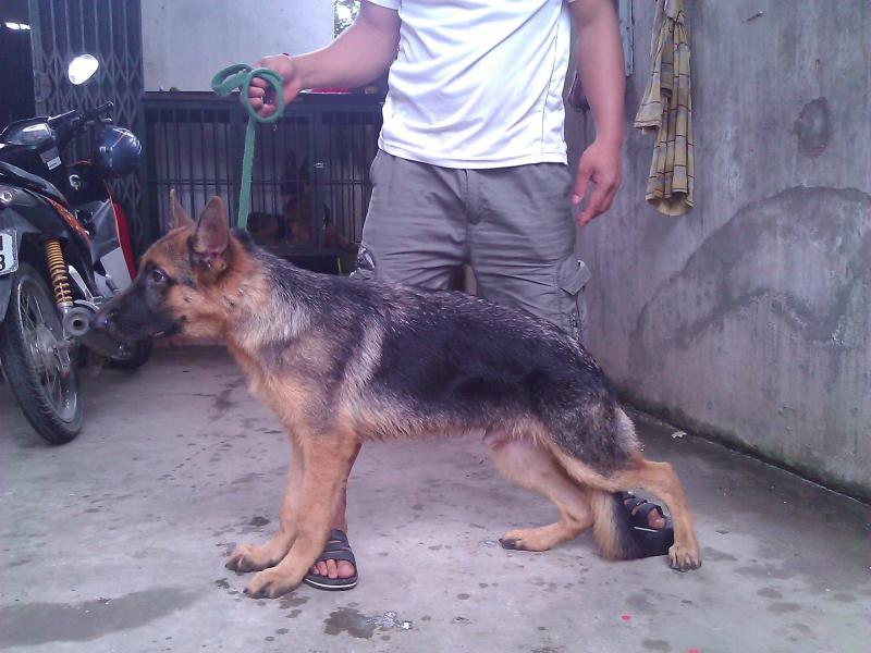 Name:  WP_000748.jpg
Views: 0
Size:  66.8 KB