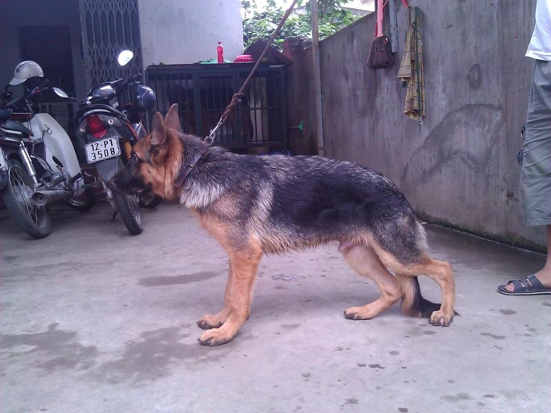 Name:  WP_000754.jpg
Views: 0
Size:  68.5 KB