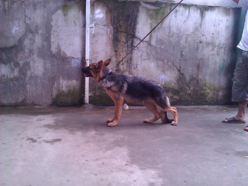 Name:  WP_000756.jpg
Views: 0
Size:  55.6 KB