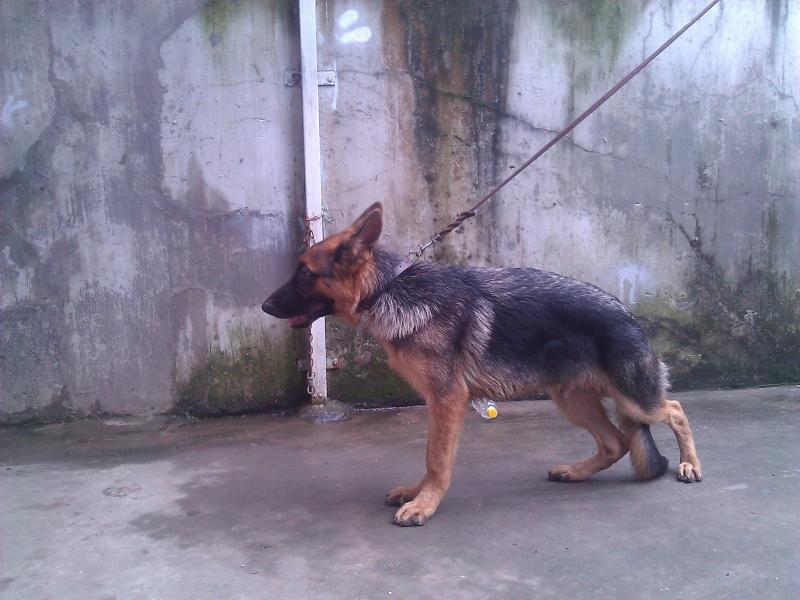 Name:  WP_000762.jpg
Views: 0
Size:  63.6 KB
