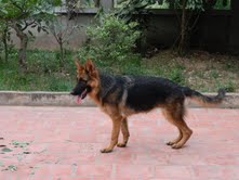 Name:  tải xuống.jpg
Views: 0
Size:  8.3 KB