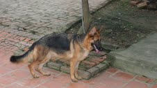 Name:  tải xuống (1).jpg
Views: 0
Size:  6.4 KB