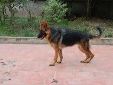 Name:  tải xuống (2).jpg
Views: 0
Size:  7.2 KB