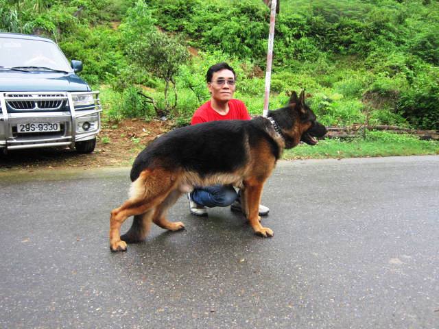 Name:  IMG_0031.JPG
Views: 0
Size:  69.5 KB