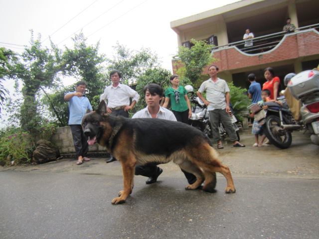 Name:  1239569_503137346429760_1567534791_n.jpg
Views: 0
Size:  52.4 KB