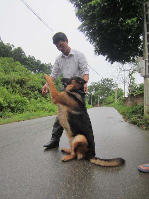 Name:  1236175_503137289763099_1402352950_n.jpg
Views: 0
Size:  46.8 KB