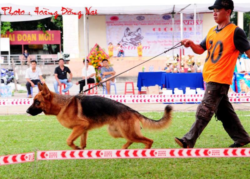 Name:  969638_342672819201311_296339435_n.jpg
Views: 0
Size:  88.1 KB