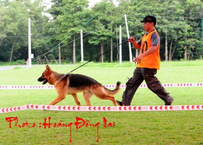 Name:  1000342_343034702498456_1270129525_n.jpg
Views: 0
Size:  82.4 KB