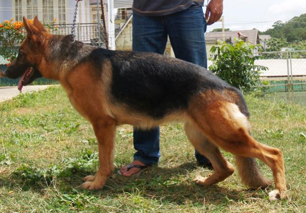 Name:  xuki22t.jpg
Views: 0
Size:  55.6 KB