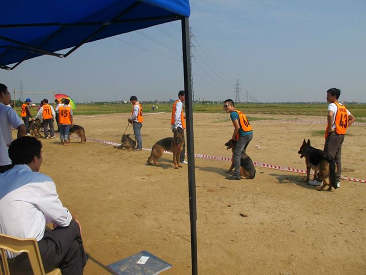 Name:  hh_n.jpg
Views: 0
Size:  54.1 KB