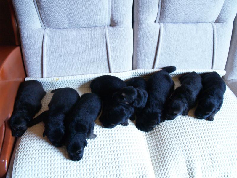 Name:  P1014833.jpg
Views: 0
Size:  76.7 KB