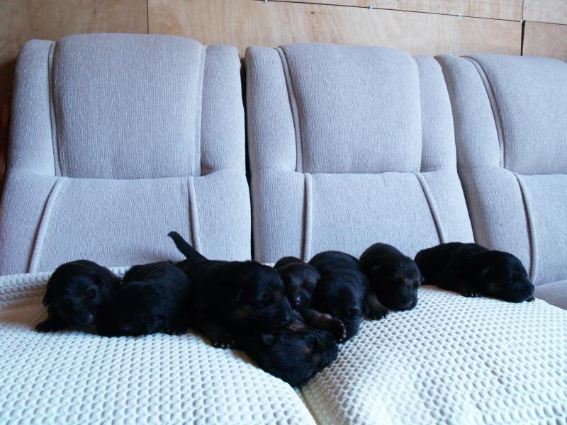 Name:  P1014905.jpg
Views: 0
Size:  79.6 KB