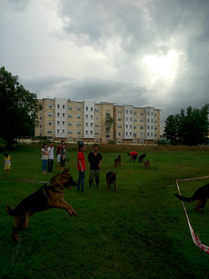 Name:  523992_261857290634537_527643029_n.jpg
Views: 0
Size:  88.5 KB