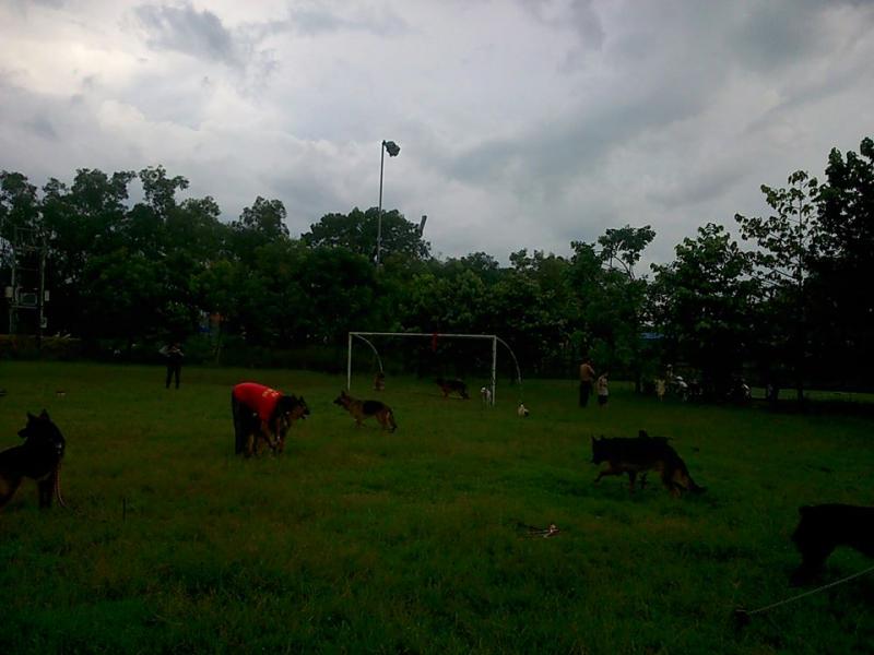 Name:  558672_261812523972347_1057689667_n.jpg
Views: 0
Size:  48.7 KB