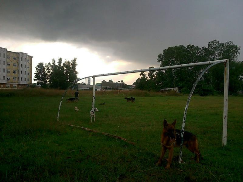 Name:  1461001_261812873972312_720633633_n.jpg
Views: 0
Size:  53.9 KB