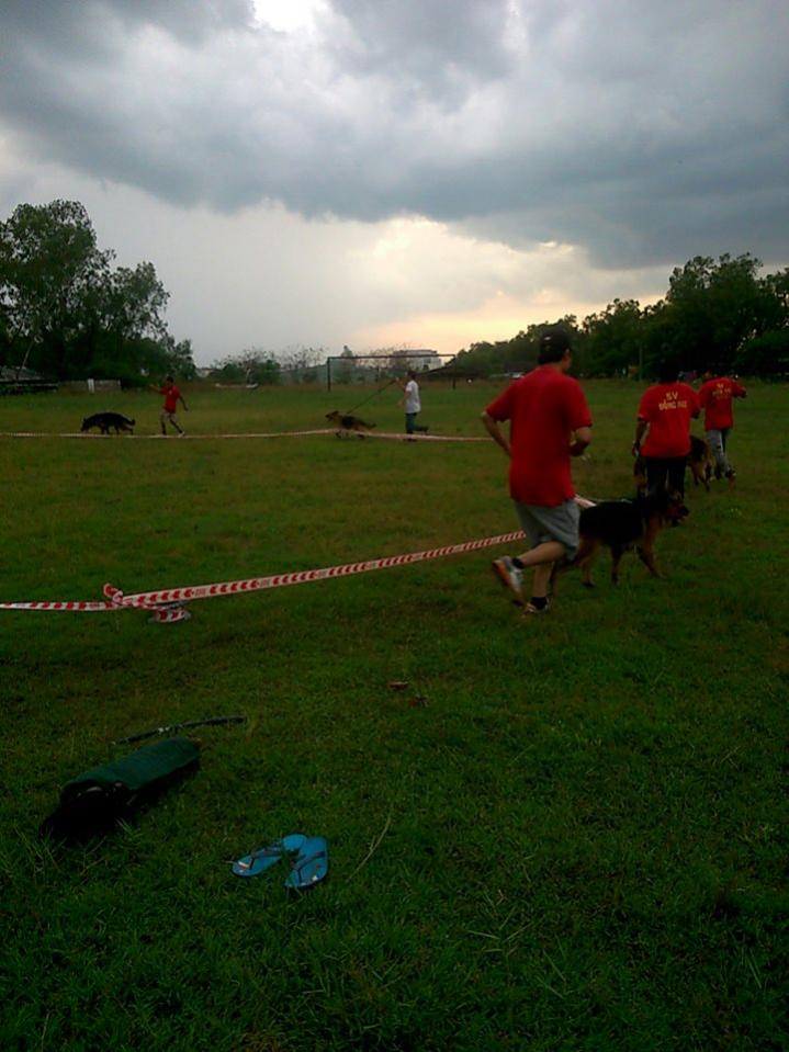 Name:  1464650_261860363967563_2023991179_n.jpg
Views: 0
Size:  79.0 KB