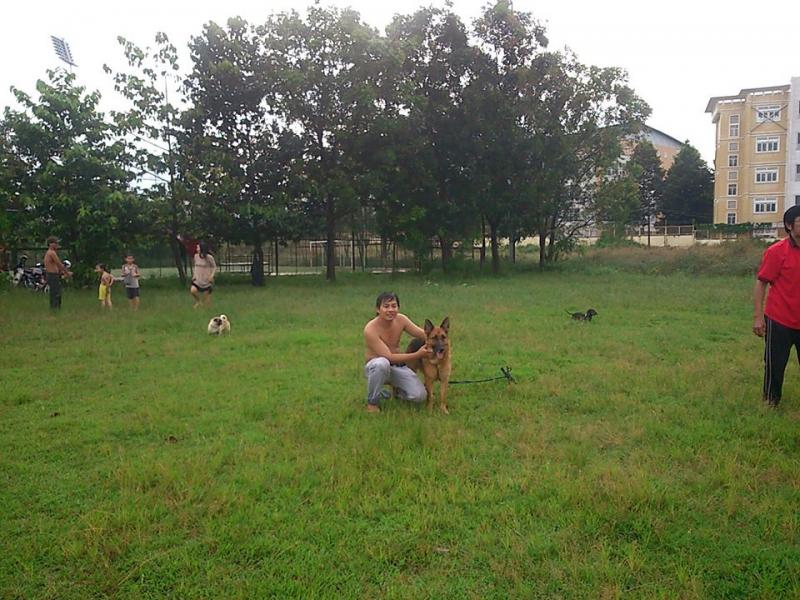 Name:  559483_261812497305683_1656828245_n.jpg
Views: 0
Size:  93.7 KB