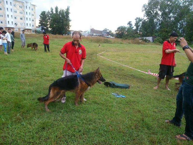 Name:  1380710_261859957300937_1951197912_n.jpg
Views: 0
Size:  97.3 KB