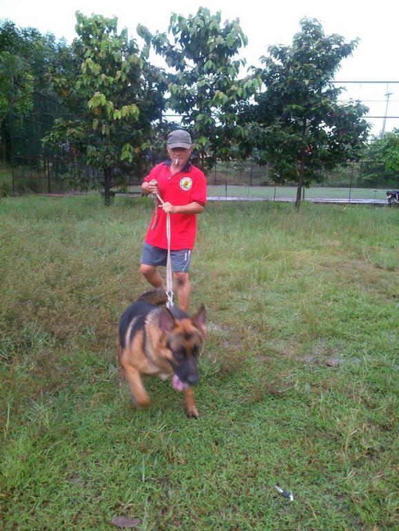 Name:  1451995_261858117301121_2095323881_n.jpg
Views: 0
Size:  99.3 KB