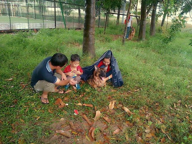 Name:  1470048_261812827305650_224380973_n.jpg
Views: 0
Size:  103.1 KB