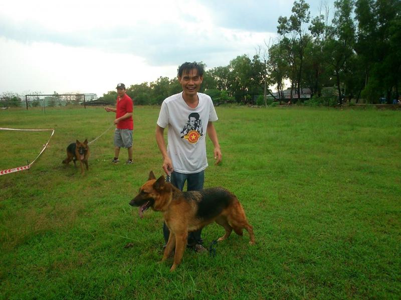 Name:  1456695_261860050634261_1664625293_n.jpg
Views: 0
Size:  75.0 KB