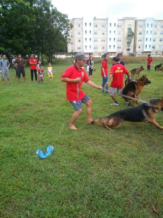 Name:  1476164_261857217301211_161755338_n.jpg
Views: 0
Size:  99.3 KB