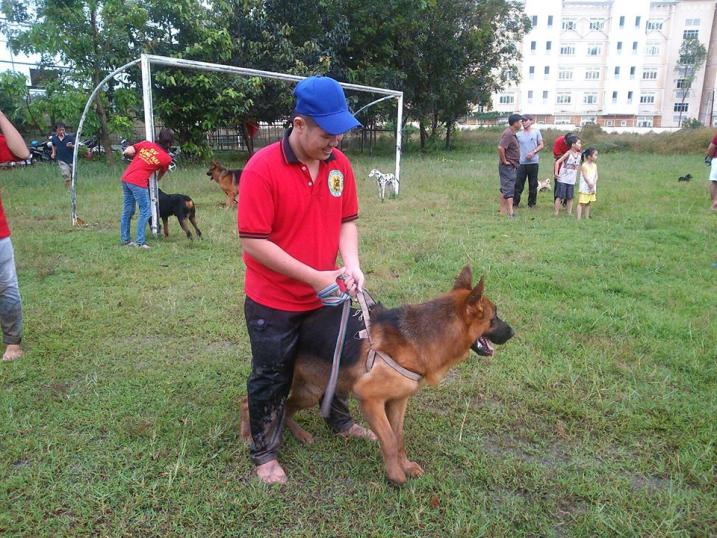 Name:  1450767_261978340622432_1698203502_n.jpg
Views: 0
Size:  99.3 KB