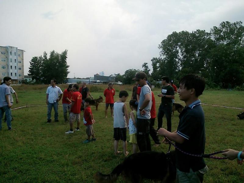 Name:  1450963_261977717289161_1729353672_n.jpg
Views: 0
Size:  62.2 KB