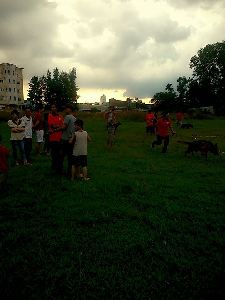 Name:  1455055_261978990622367_544214427_n.jpg
Views: 0
Size:  93.1 KB