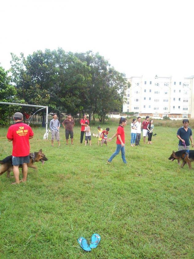 Name:  1456093_261977877289145_194694119_n.jpg
Views: 0
Size:  96.9 KB