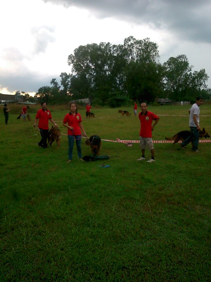 Name:  1459323_261978830622383_1468331783_n.jpg
Views: 0
Size:  89.6 KB