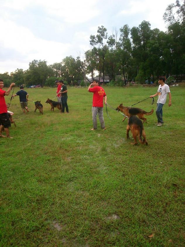 Name:  1466172_261978027289130_497077150_n.jpg
Views: 0
Size:  96.9 KB