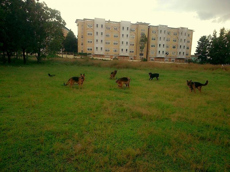 Name:  1146602_261812617305671_1893873855_n.jpg
Views: 0
Size:  76.1 KB