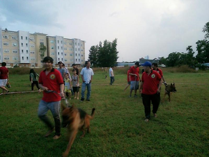 Name:  1393540_261856703967929_201130166_n.jpg
Views: 0
Size:  58.8 KB