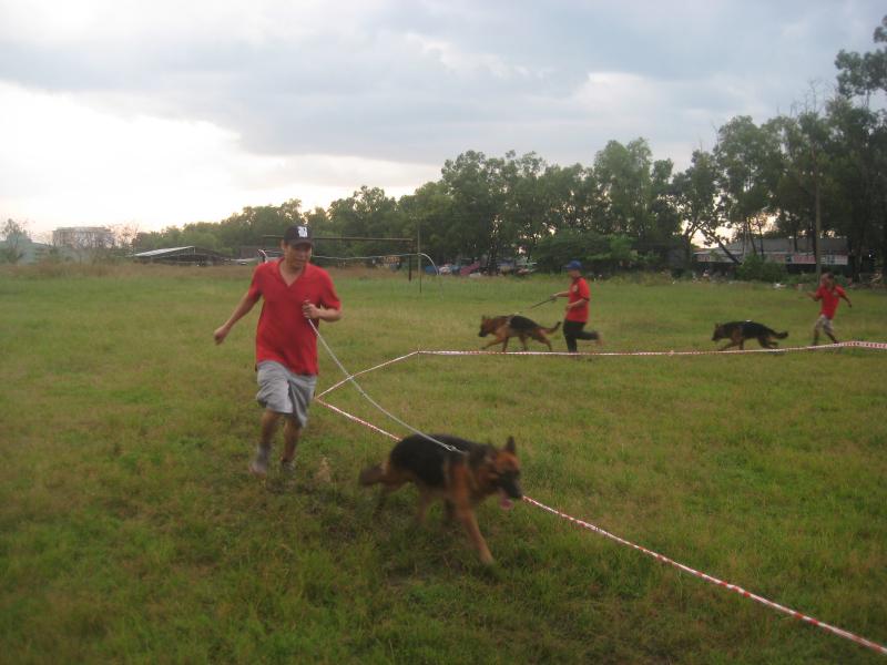 Name:  IMG_1007.jpg
Views: 0
Size:  55.7 KB