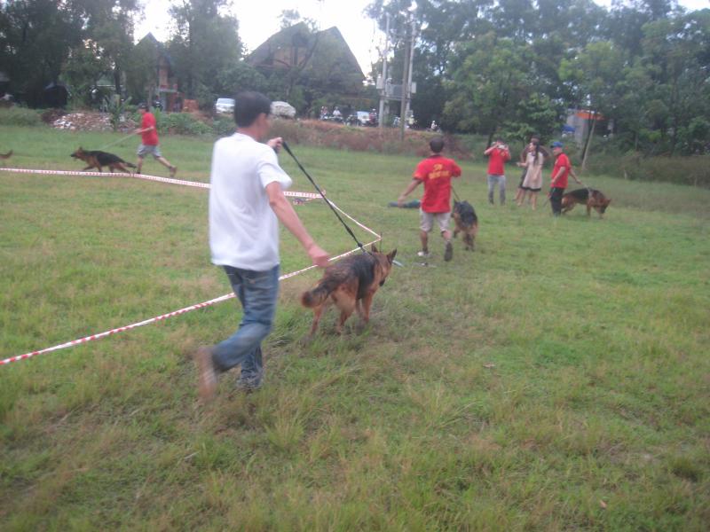 Name:  IMG_0999.jpg
Views: 0
Size:  70.5 KB