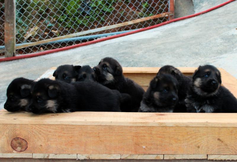 Name:  IMG_0040.jpg
Views: 0
Size:  64.8 KB