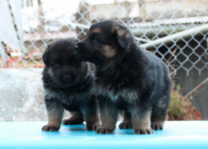 Name:  IMG_0044.jpg
Views: 0
Size:  49.8 KB