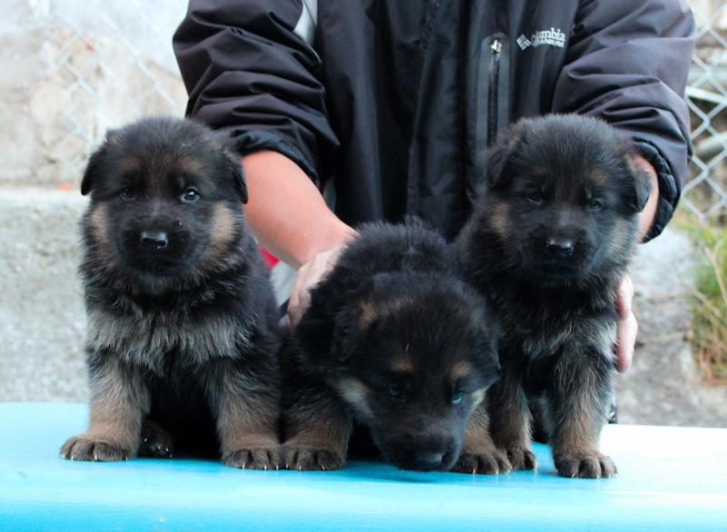 Name:  IMG_0048.jpg
Views: 0
Size:  56.0 KB