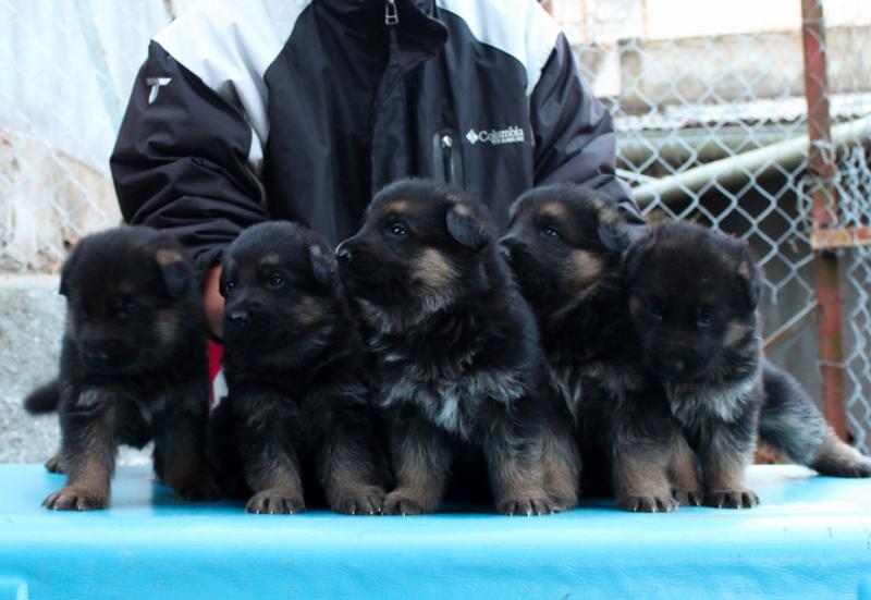 Name:  IMG_0062.jpg
Views: 0
Size:  53.3 KB