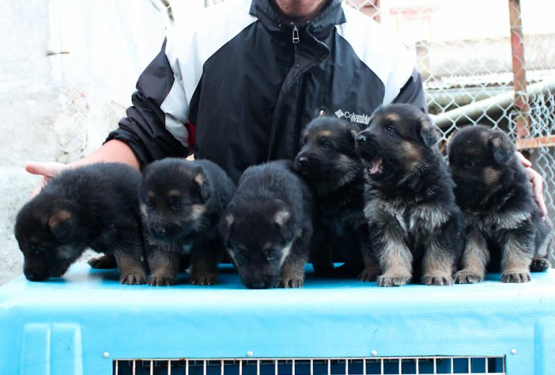 Name:  IMG_0067.jpg
Views: 0
Size:  56.3 KB